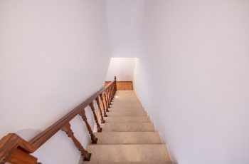 redimensionadoDSC_5668