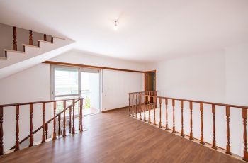 redimensionadoDSC_5669