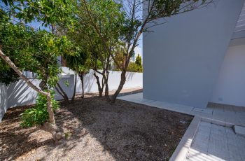 redimensionadoDSC_5674