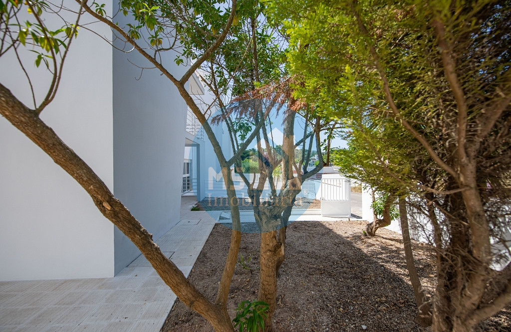 redimensionadoDSC_5676