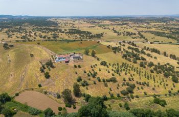 redimensionadoDJI_0310