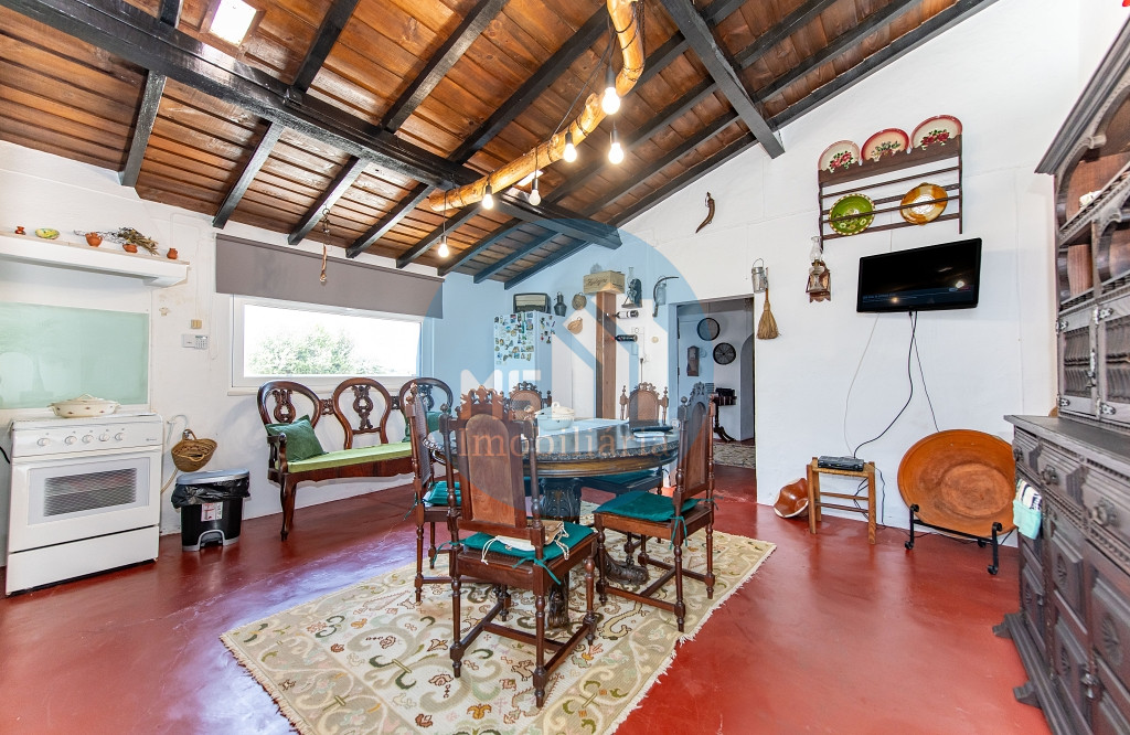 redimensionadoDSC_5683