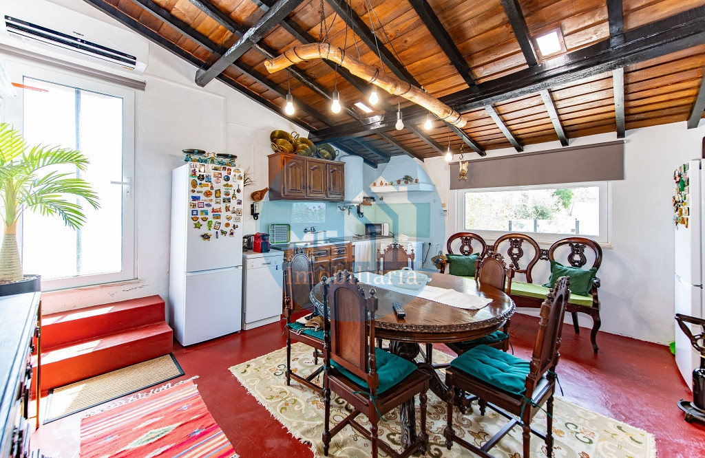 redimensionadoDSC_5684