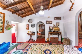 redimensionadoDSC_5685-Aprimorado-NR