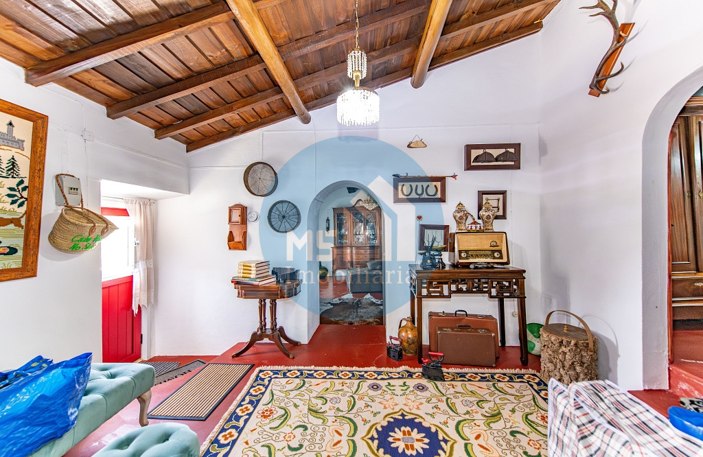 redimensionadoDSC_5685-Aprimorado-NR