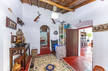 redimensionadoDSC_5686-Aprimorado-NR