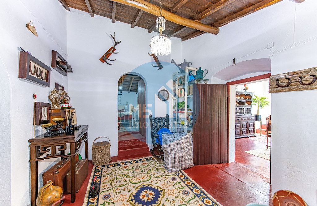 redimensionadoDSC_5686-Aprimorado-NR