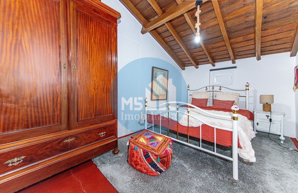 redimensionadoDSC_5689