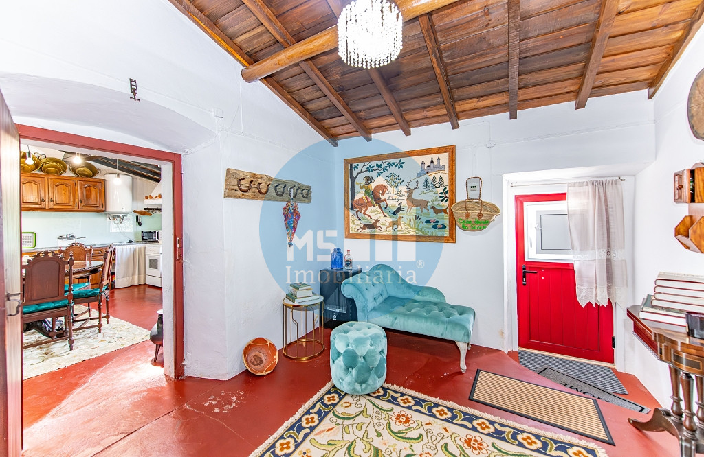 redimensionadoDSC_5693-Aprimorado-NR