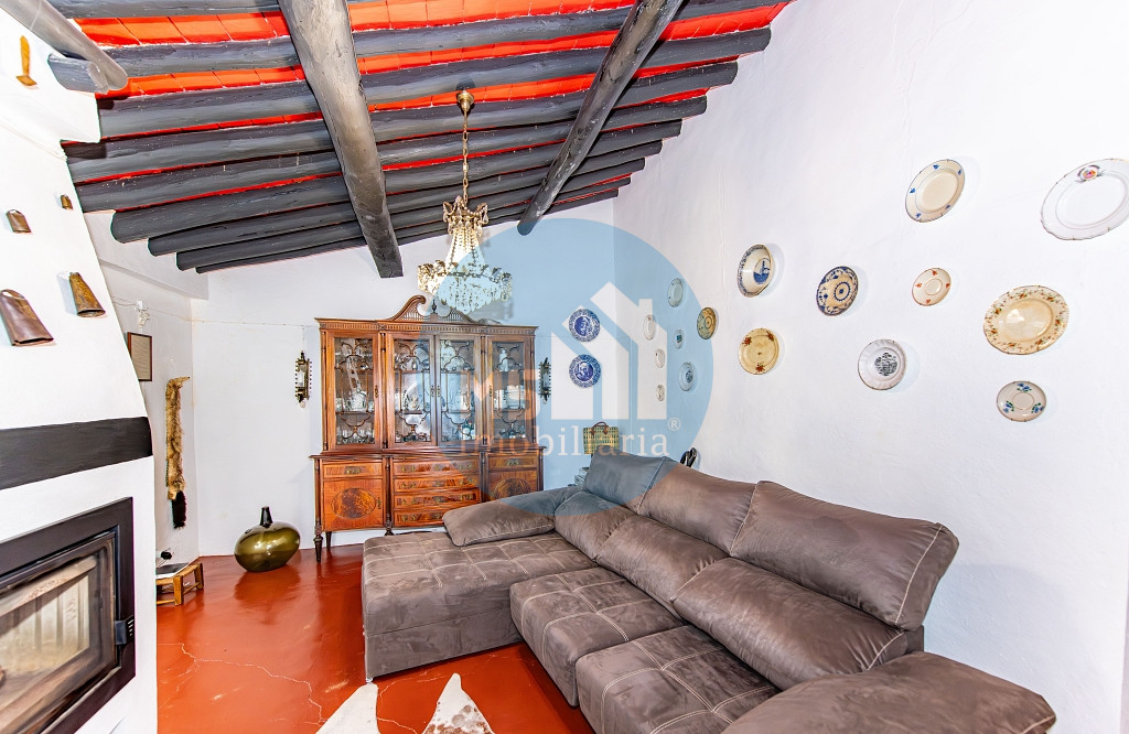 redimensionadoDSC_5694-Aprimorado-NR