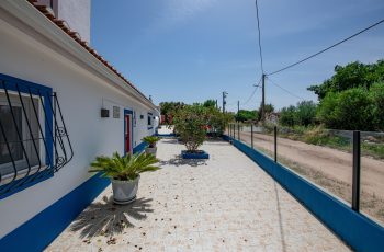 redimensionadoDSC_5705