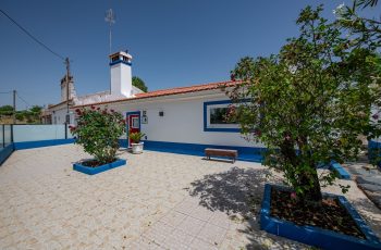 redimensionadoDSC_5706