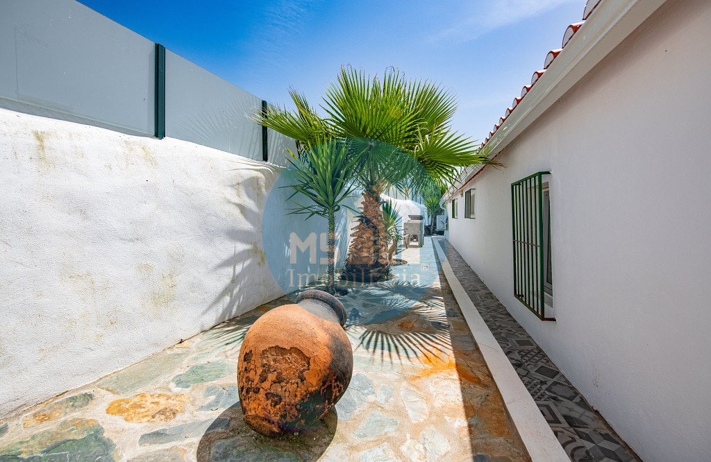 redimensionadoDSC_5711